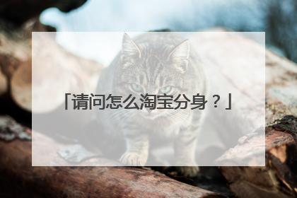 请问怎么淘宝分身?