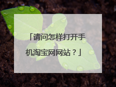 请问怎样打开手机淘宝网网站?