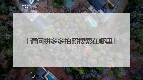 请问拼多多拍照搜索在哪里