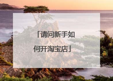 请问新手如何开淘宝店