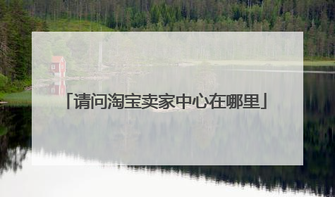 请问淘宝卖家中心在哪里