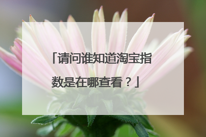 请问谁知道淘宝指数是在哪查看?