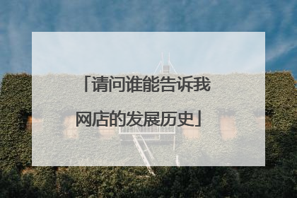 请问谁能告诉我网店的发展历史