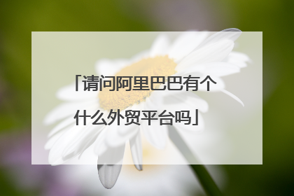 请问阿里巴巴有个什么外贸平台吗
