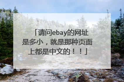 请问ebay的网址是多小,就是那种页面上都是中文的!!