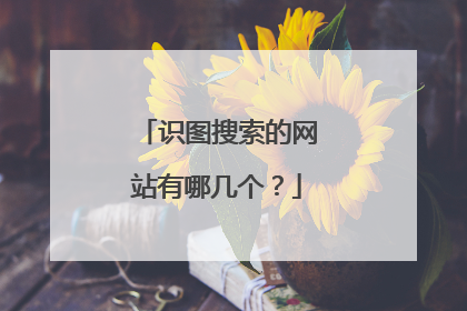 识图搜索的网站有哪几个?