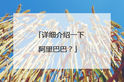 详细介绍一下阿里巴巴？