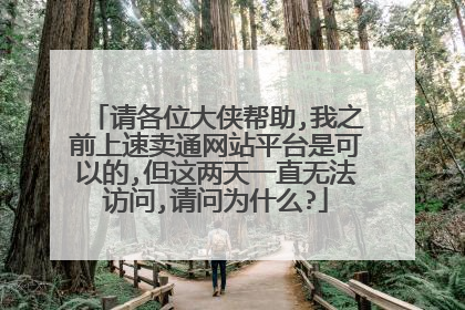 请各位大侠帮助,我之前上速卖通网站平台是可以的,但这两天一直无法访问,请问为什么?