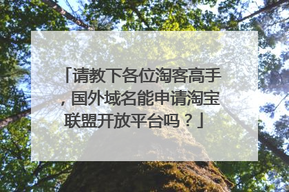 请教下各位淘客高手,国外域名能申请淘宝联盟开放平台吗?