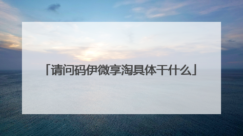 请问码伊微享淘具体干什么