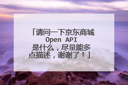 请问一下京东商城 Open API 是什么,尽量能多点描述,谢谢了!