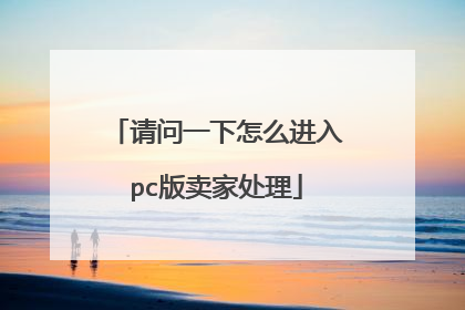 请问一下怎么进入pc版卖家处理