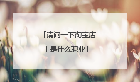 请问一下淘宝店主是什么职业
