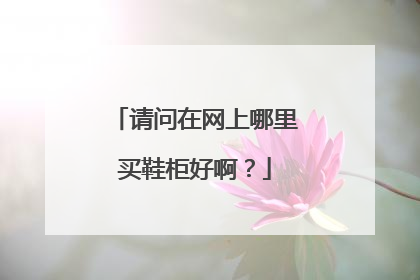 请问在网上哪里买鞋柜好啊?