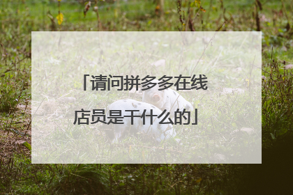 请问拼多多在线店员是干什么的