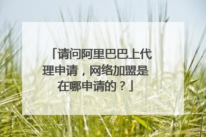 请问阿里巴巴上代理申请,网络加盟是在哪申请的?