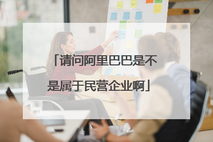请问阿里巴巴是不是属于民营企业啊