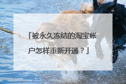 被永久冻结的淘宝帐户怎样重新开通?