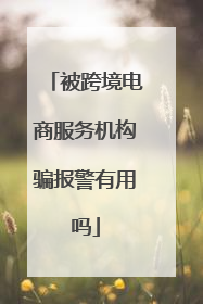被跨境电商服务机构骗报警有用吗