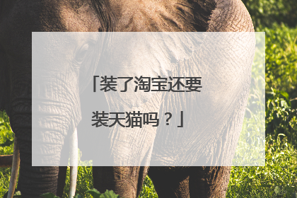 装了淘宝还要装天猫吗?