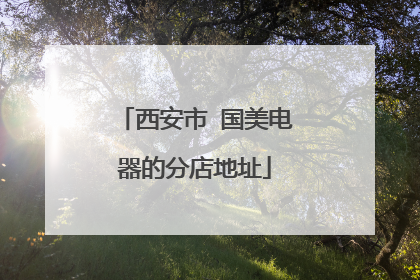 西安市 国美电器的分店地址