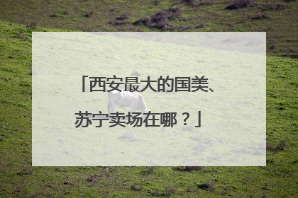 西安最大的国美、苏宁卖场在哪？