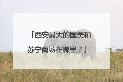 西安最大的国美和苏宁商场在哪里?
