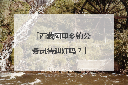 西藏阿里乡镇公务员待遇好吗?