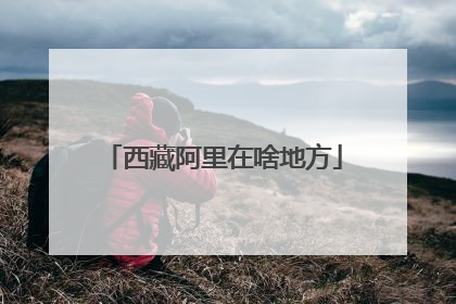 西藏阿里在啥地方