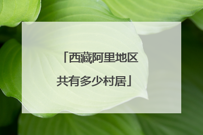 西藏阿里地区共有多少村居