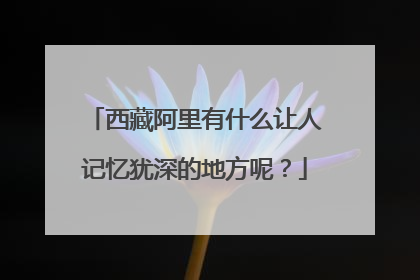 西藏阿里有什么让人记忆犹深的地方呢?