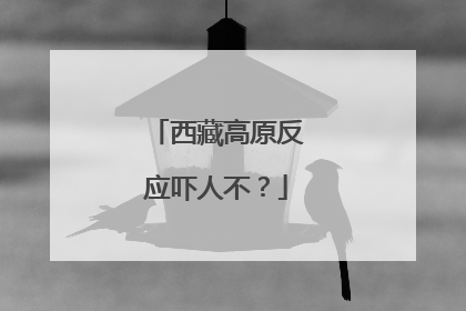 西藏高原反应吓人不?