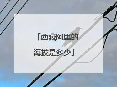 西藏阿里的海拔是多少