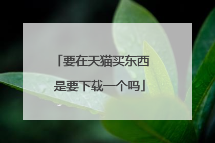 要在天猫买东西 是要下载一个吗