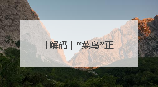 解码|“菜鸟”正式进入高年级,全速前进,估值模型将有化学反应...