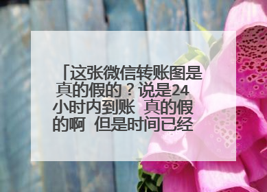 这张微信转账图是真的假的?说是24小时内到账 真的假的啊 但是时间已经过了18个小时了 一直没到