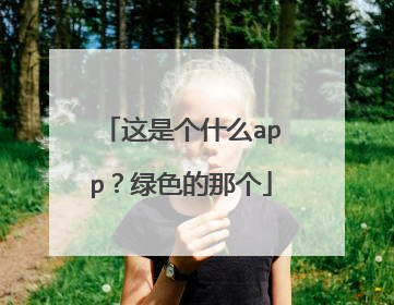 这是个什么app？绿色的那个