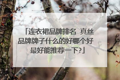 连衣裙品牌排名 真丝品牌牌子什么的好哪个好 最好能推荐一下?