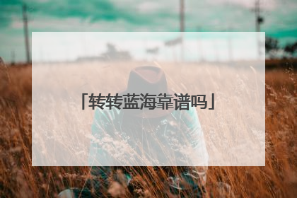 转转蓝海靠谱吗