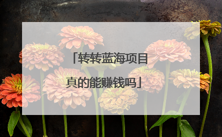 转转蓝海项目真的能赚钱吗