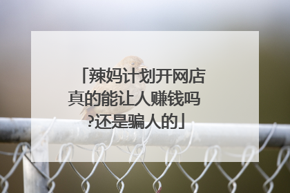 辣妈计划开网店真的能让人赚钱吗?还是骗人的