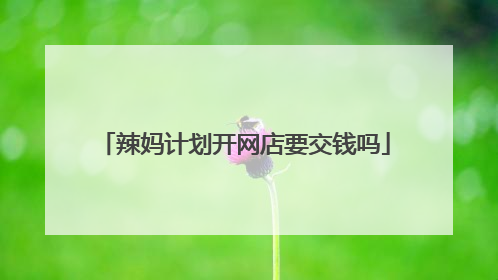辣妈计划开网店要交钱吗