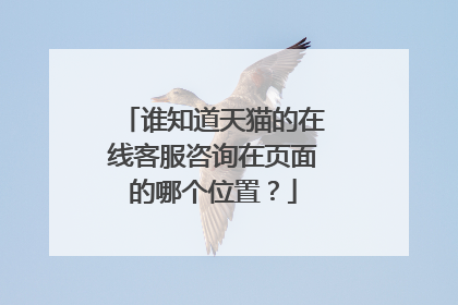 谁知道天猫的在线客服咨询在页面的哪个位置?