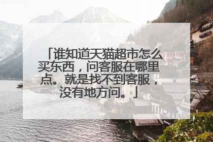 谁知道天猫超市怎么买东西,问客服在哪里点。就是找不到客服,没有地方问。