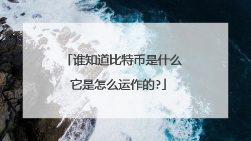 谁知道比特币是什么它是怎么运作的?