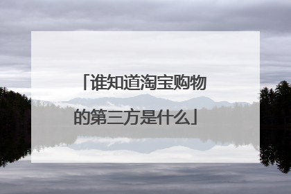 谁知道淘宝购物的第三方是什么