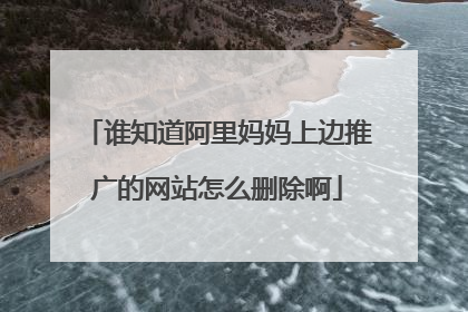谁知道阿里妈妈上边推广的网站怎么删除啊