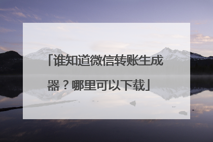 谁知道微信转账生成器?哪里可以下载