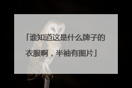谁知道这是什么牌子的衣服啊，半袖有图片