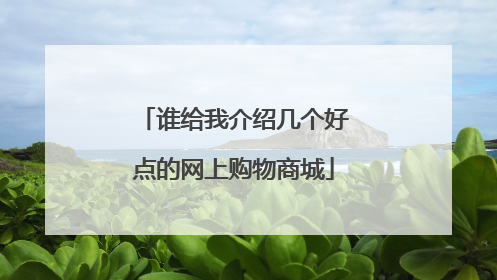 谁给我介绍几个好点的网上购物商城